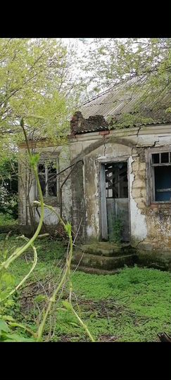 Дом 60 м² на участке 23 сот.