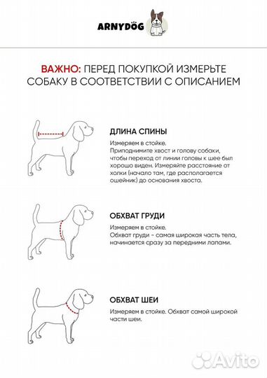 Одежда для собак новая, платье для собаки