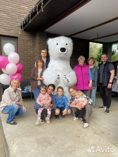 Мишка и Зайка и Лис поздравление