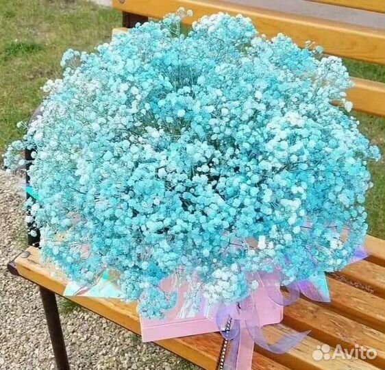 Гипсофила Белая Цветная Букет / Композиция