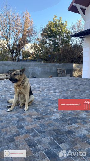 Тротуарная плитка премиум