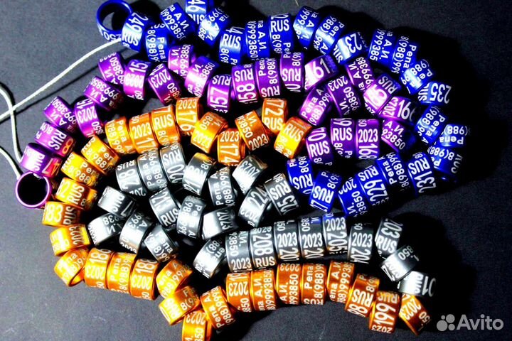 Кольца на лапку голубя