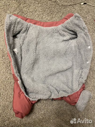 Костюм для собаки