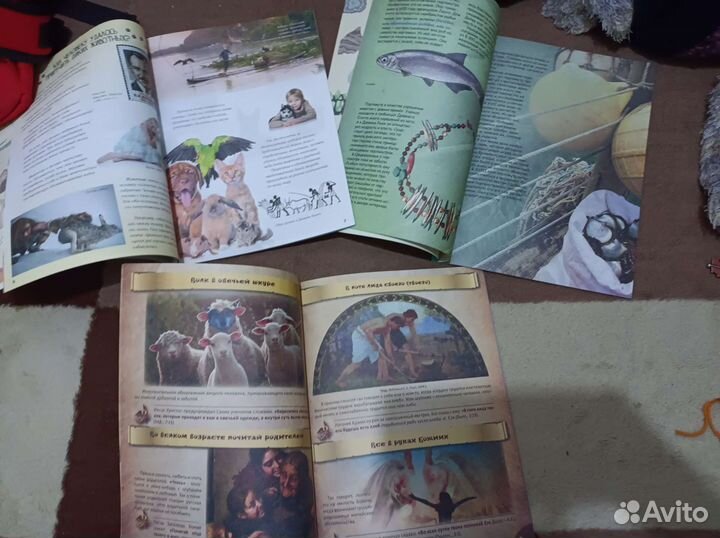 Развивающие книги для детей