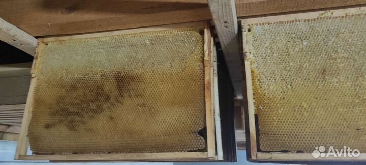 Сушь для пчëл, рамки с вощиной