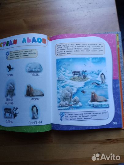 Книга Годовой курс занятий для детей 2-3 лет