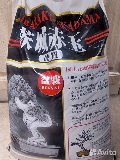 Бонсайница + акад 1л