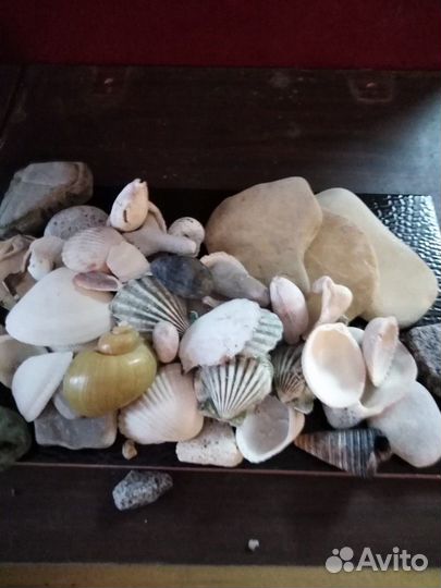 Декор для аквариума