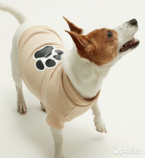 Зимняя одежда для собак