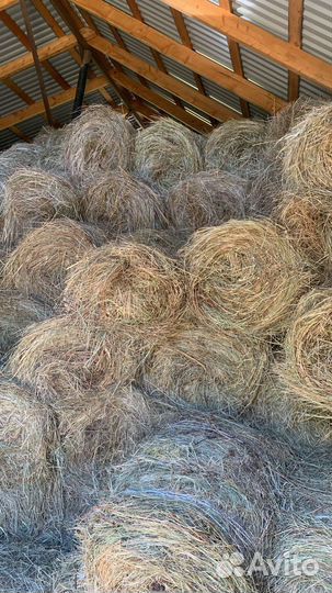 Сено в мини рулонах
