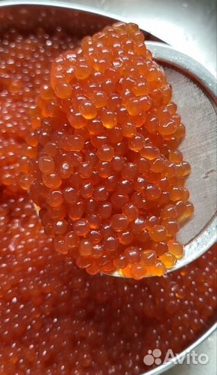 Красная икра оптом