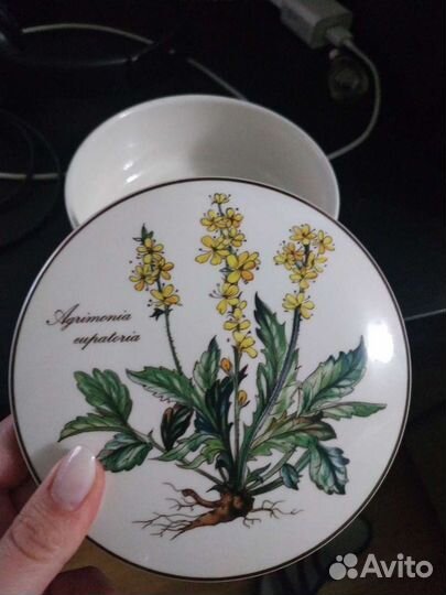 Шкатулка agrimonia из серии ботаника villeroy&boch