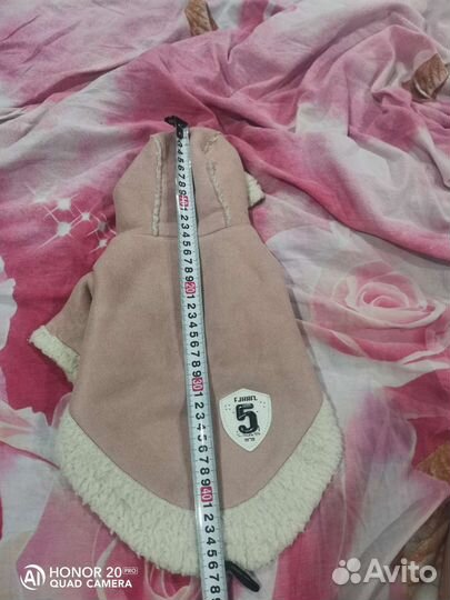 Одежда для средних собак