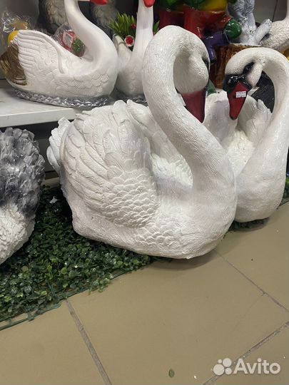 Лебеди большие