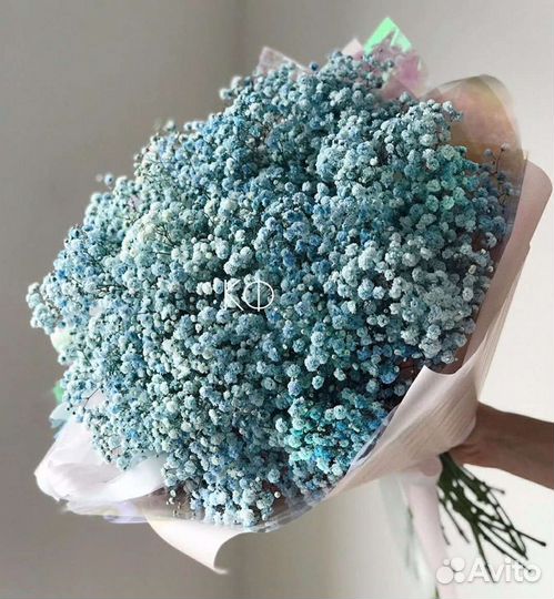 Гипсофила оптом