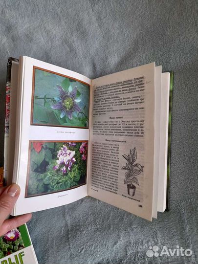 Книга про комнатные растения