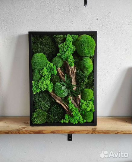Мох стабилизированный фитокартина картина из мха