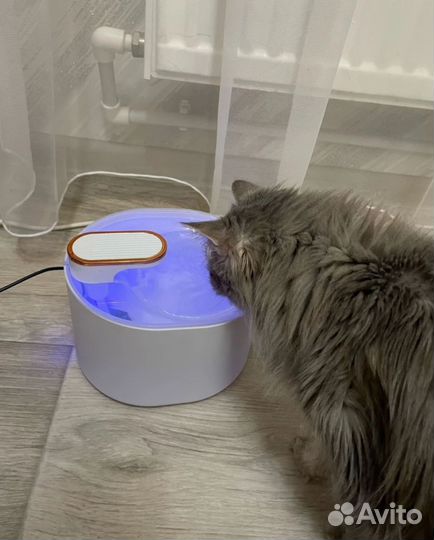 Автопоилка для кошек и собак новая
