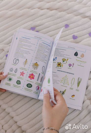 ЕГЭ по Биологии