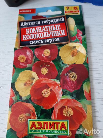 Абутилон Комнатный колокольчик