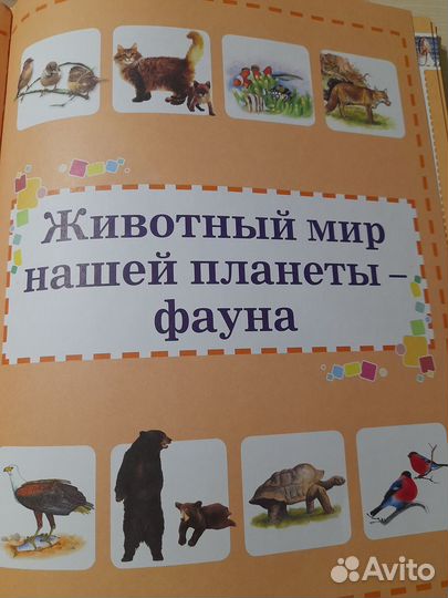 Книга Энциклопедия для девочки