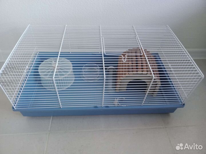 Клетка для грызунов ferplast