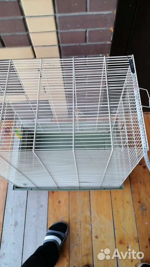 Клетка для грызунов очень большая