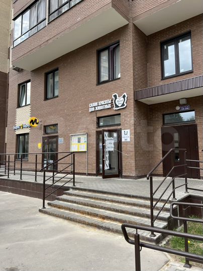 Свободного назначения, 33 м²