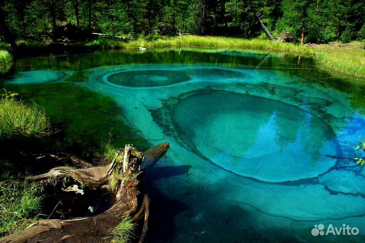 Экскурсия Индивидуальная на автобусе, гид экскурсо