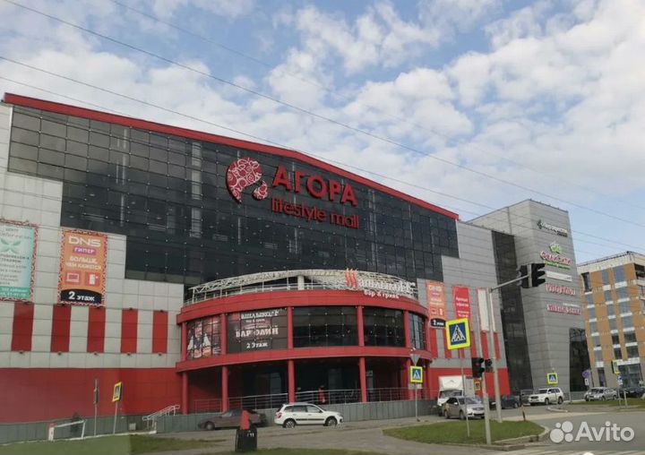 100 долей ооо «Гинза»