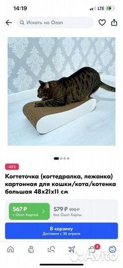 Когтеточка для кошек