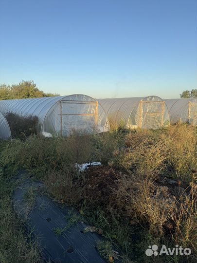 Балаганы,дуги,теплицы продам