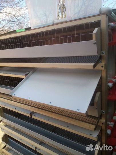 Клетка для перепелов до 150 голов