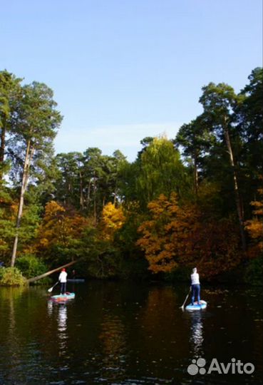 Готовый бизнес проката аренды сап велосипедов