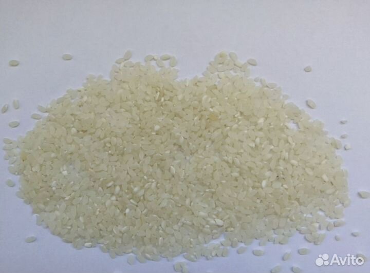 Круглозерный рис ту