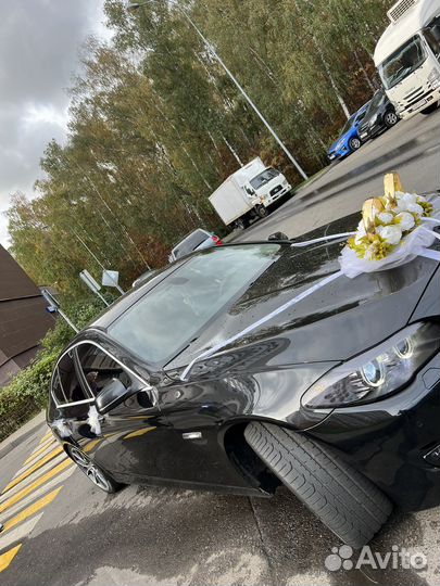 Свадебное украшение на машину (кольца)