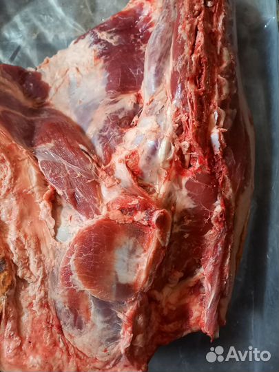 Мясо домашнее свинина