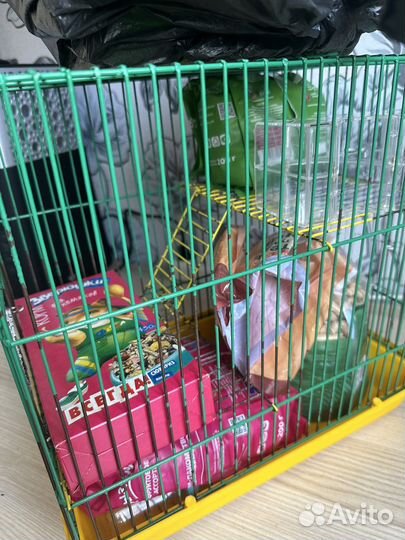 Клетка для грызунов бу