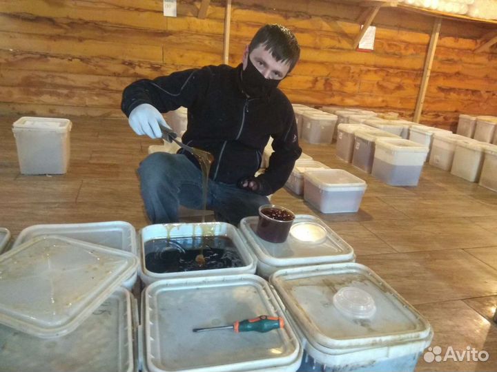 Мёд гречишный