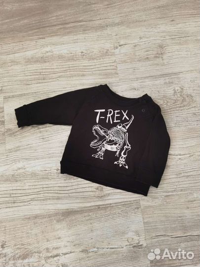 Свитшот/кофта для мальчика с динозавром 80 см