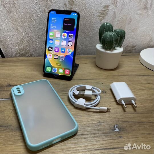 iPhone X
