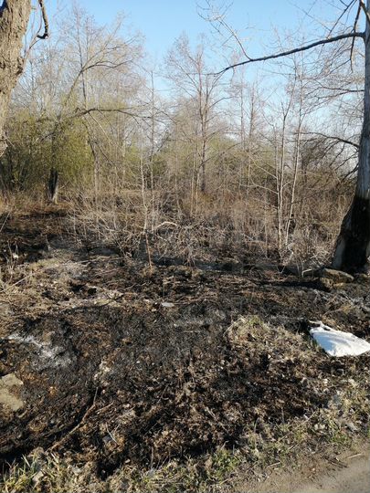 Участок 12 сот. (ИЖС)