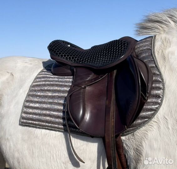 Амуниция для лошади: выездковые ногавки, вальтрапы