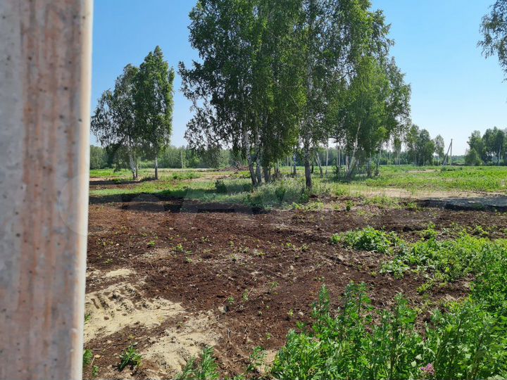 Участок 6 сот. (СНТ, ДНП)