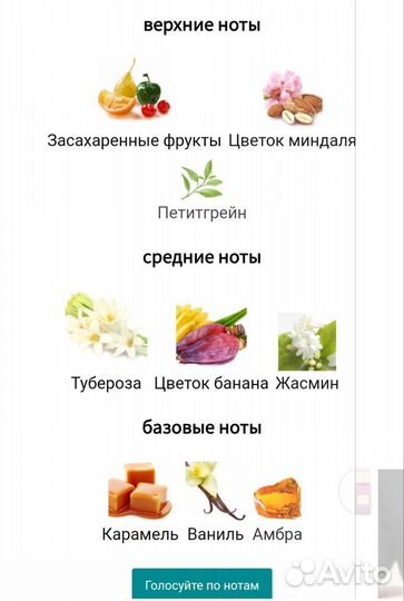 Gritti Because I Am Free