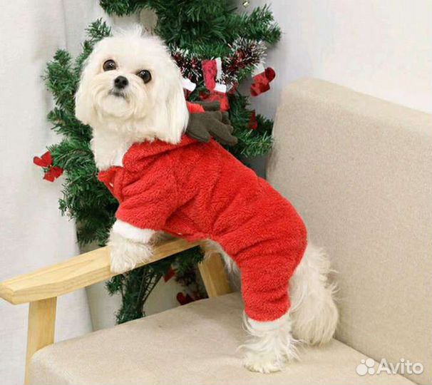 Новогодний костюм для собак мелкой породы