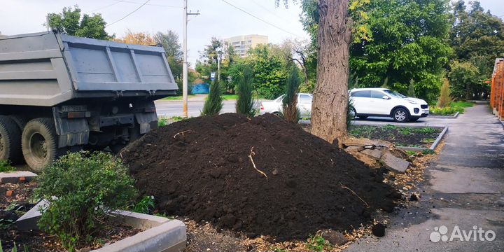 Чернозём рассыпчатый из леса перегной навоз глина