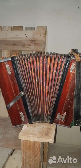 Гармонь любительская