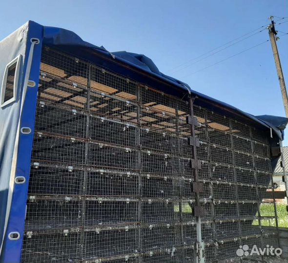 Клетка для перевозки кур