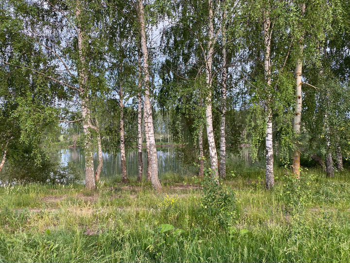 Участок 10 сот. (ИЖС)